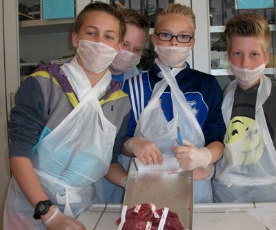 Schweineherz6
