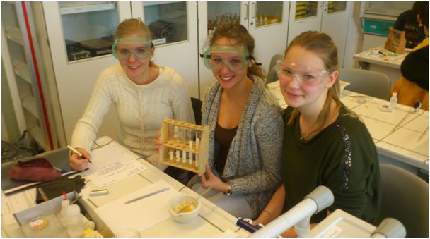 Biologie-Klausur 11