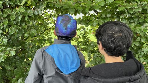 Entdecken