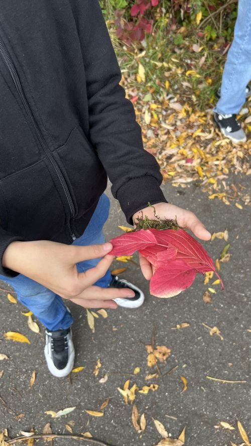Blatt