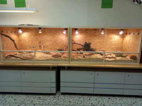 Terrarien